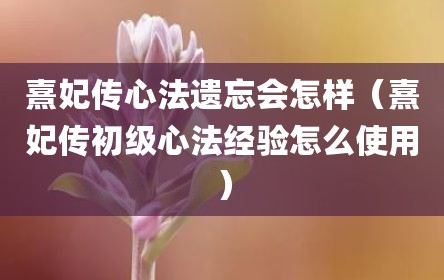 熹妃传心法遗忘会怎样（熹妃传初级心法经验怎么使用）