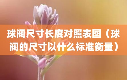 球阀尺寸长度对照表图（球阀的尺寸以什么标准衡量）