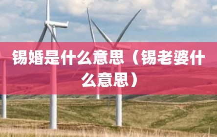 锡婚是什么意思（锡老婆什么意思）