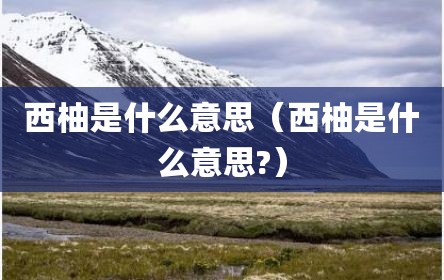 西柚是什么意思（西柚是什么意思?）