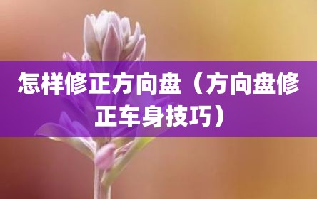 怎样修正方向盘（方向盘修正车身技巧）