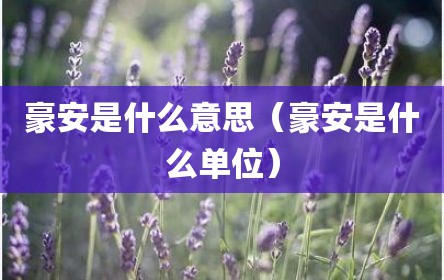 豪安是什么意思（豪安是什么单位）