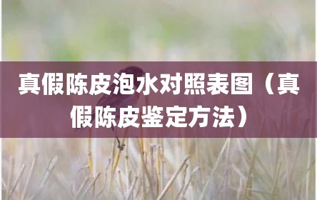 真假陈皮泡水对照表图（真假陈皮鉴定方法）