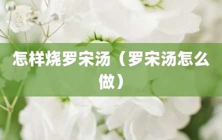 怎样烧罗宋汤（罗宋汤怎么做）