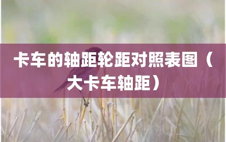 卡车的轴距轮距对照表图（大卡车轴距）