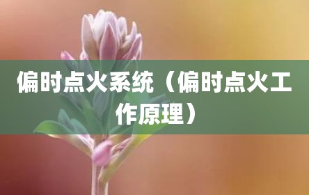 偏时点火系统（偏时点火工作原理）