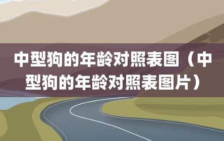 中型狗的年龄对照表图（中型狗的年龄对照表图片）