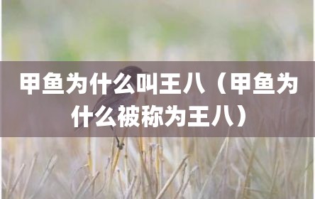 甲鱼为什么叫王八（甲鱼为什么被称为王八）