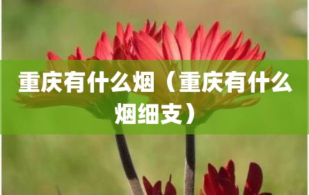 重庆有什么烟（重庆有什么烟细支）