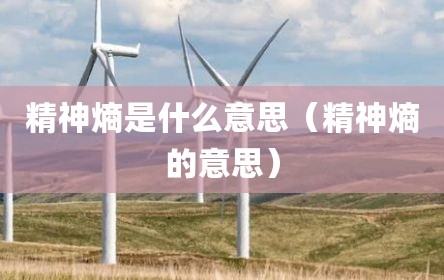 精神熵是什么意思（精神熵的意思）