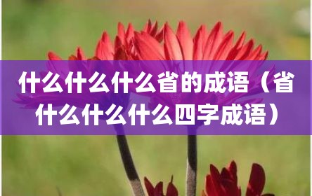 什么什么什么省的成语（省什么什么什么四字成语）