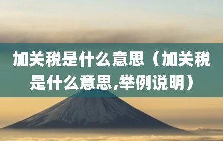 加关税是什么意思（加关税是什么意思,举例说明）