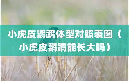 小虎皮鹦鹉体型对照表图（小虎皮鹦鹉能长大吗）