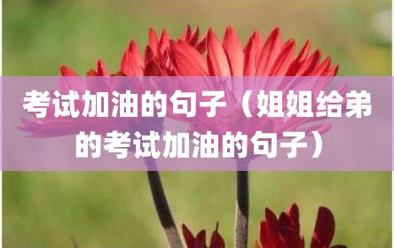 考试加油的句子（姐姐给弟的考试加油的句子）