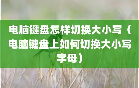 电脑键盘怎样切换大小写（电脑键盘上如何切换大小写字母）