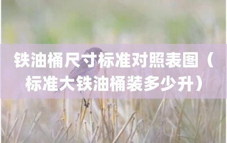 铁油桶尺寸标准对照表图（标准大铁油桶装多少升）