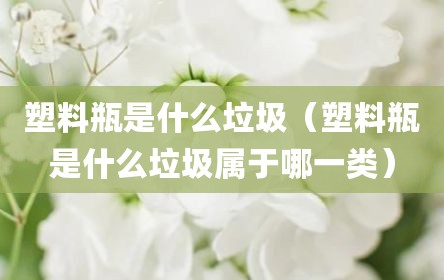 塑料瓶是什么垃圾（塑料瓶是什么垃圾属于哪一类）