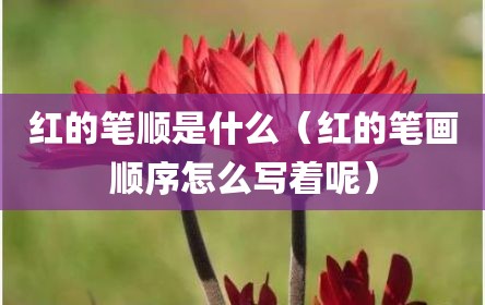 红的笔顺是什么（红的笔画顺序怎么写着呢）