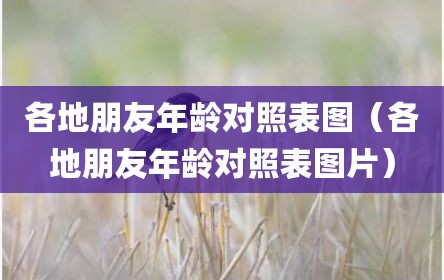 各地朋友年龄对照表图（各地朋友年龄对照表图片）