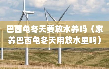巴西龟冬天要放水养吗（家养巴西龟冬天用放水里吗）
