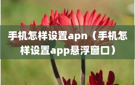 手机怎样设置apn（手机怎样设置app悬浮窗口）