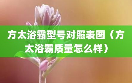 方太浴霸型号对照表图（方太浴霸质量怎么样）