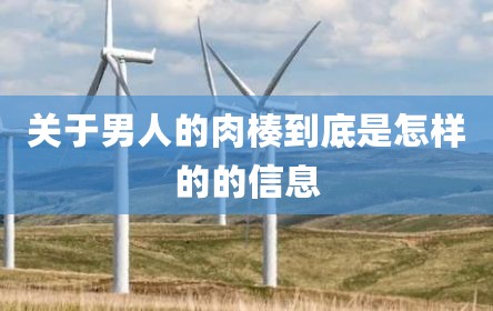 关于男人的肉楱到底是怎样的的信息