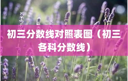 初三分数线对照表图（初三各科分数线）