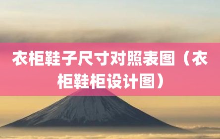 衣柜鞋子尺寸对照表图（衣柜鞋柜设计图）