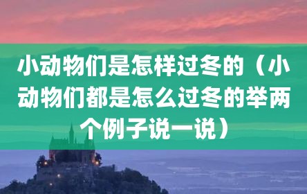 小动物们是怎样过冬的（小动物们都是怎么过冬的举两个例子说一说）