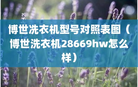 博世冼衣机型号对照表图（博世洗衣机28669hw怎么样）