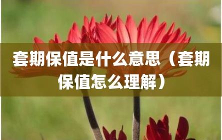 套期保值是什么意思（套期保值怎么理解）