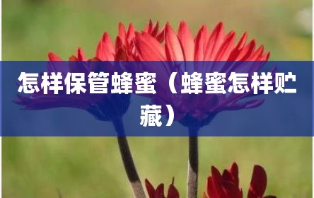 怎样保管蜂蜜（蜂蜜怎样贮藏）
