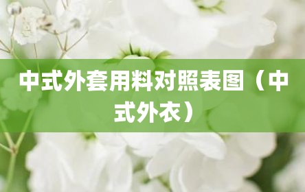中式外套用料对照表图（中式外衣）