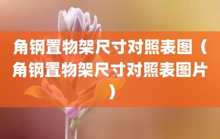 角钢置物架尺寸对照表图（角钢置物架尺寸对照表图片）