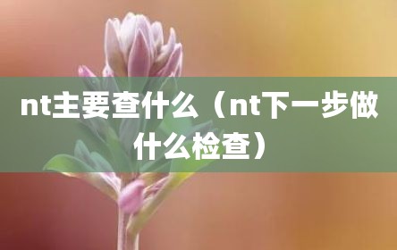 nt主要查什么（nt下一步做什么检查）