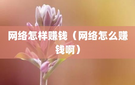 网络怎样赚钱（网络怎么赚钱啊）