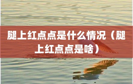 腿上红点点是什么情况（腿上红点点是啥）