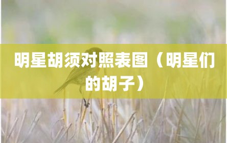 明星胡须对照表图（明星们的胡子）