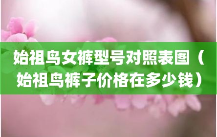 始祖鸟女裤型号对照表图（始祖鸟裤子价格在多少钱）
