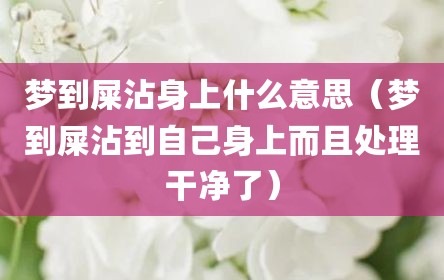 梦到屎沾身上什么意思（梦到屎沾到自己身上而且处理干净了）