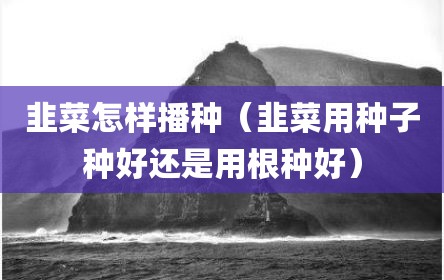 韭菜怎样播种（韭菜用种子种好还是用根种好）