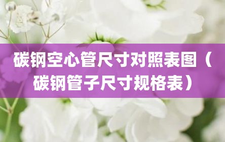 碳钢空心管尺寸对照表图（碳钢管子尺寸规格表）