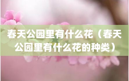 春天公园里有什么花（春天公园里有什么花的种类）