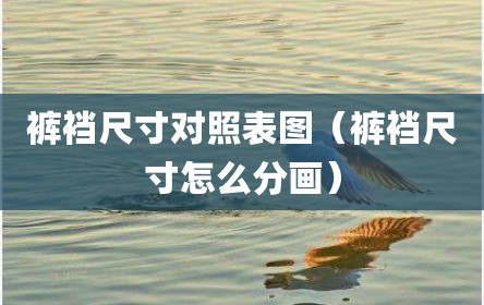 裤裆尺寸对照表图（裤裆尺寸怎么分画）