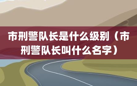 市刑警队长是什么级别（市刑警队长叫什么名字）