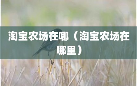 淘宝农场在哪（淘宝农场在哪里）