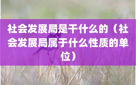 社会发展局是干什么的（社会发展局属于什么性质的单位）