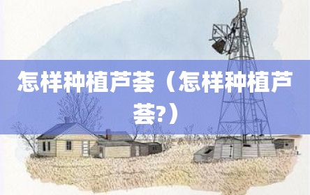 怎样种植芦荟（怎样种植芦荟?）
