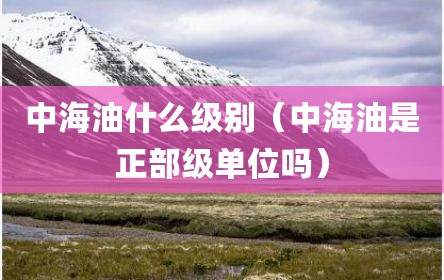 中海油什么级别（中海油是正部级单位吗）